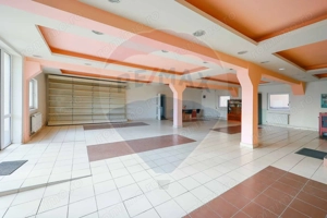 Spațiu industrial /hală de vânzare în zona Vest - imagine 9
