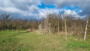 Casa individuala de vanzare, teren 1750 mp, Zona: Sanandrei - imagine 15