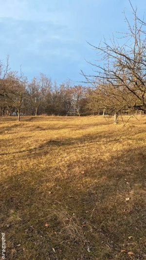 Vand 2900 mp teren extravilan Suici - Arges