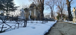 Cavou Monumental din Perioada Interbelică 8 + 4 Locuri   Cimitirul Bellu, Bucuresti