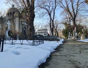 Cavou Monumental din Perioada Interbelică 8 + 4 Locuri   Cimitirul Bellu, Bucuresti - imagine 9