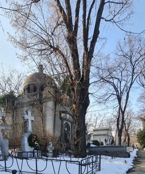 Cavou Monumental din Perioada Interbelică 8 + 4 Locuri   Cimitirul Bellu, Bucuresti - imagine 2