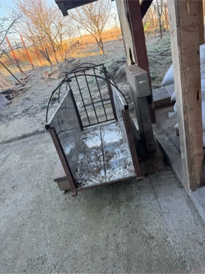 Porci si Șoldani - imagine 5