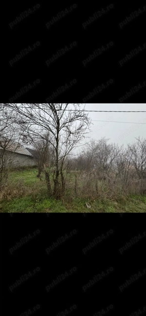 Teren vanzare + constructie   2499 mp   electricitate+apa - imagine 5