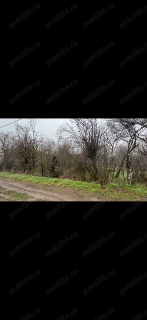 Teren vanzare + constructie   2499 mp   electricitate+apa - imagine 3