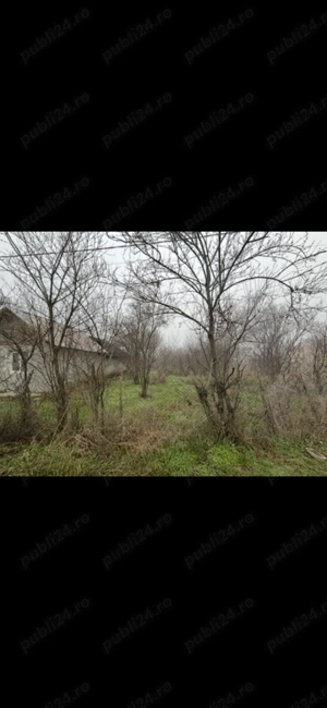 Teren vanzare + constructie   2499 mp   electricitate+apa - imagine 2