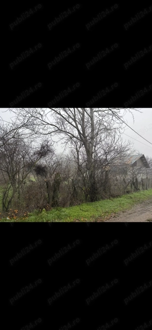 Teren vanzare + constructie   2499 mp   electricitate+apa - imagine 6