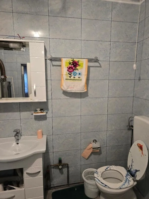 Vand casa Com Pietroasa-Bihor, sosea , central ter 2500 mp, dublu front, utilit.,gaz - imagine 14