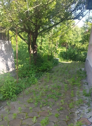 Casa de vanzare in Turda - imagine 7