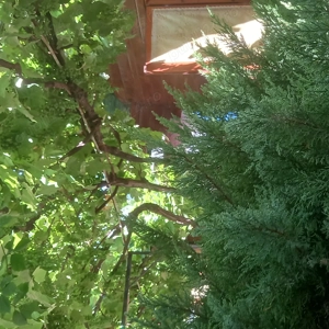 Cazare Costinesti pentru festival Beach Please