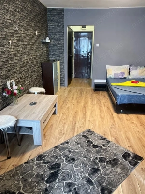 incjriez garsoniera regim hotelier Titan - imagine 2