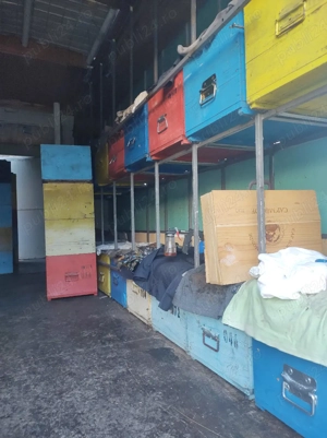 Lichidez stupina!!!Vând remorca 2 axe tandem, sau stupi cu albine - imagine 7