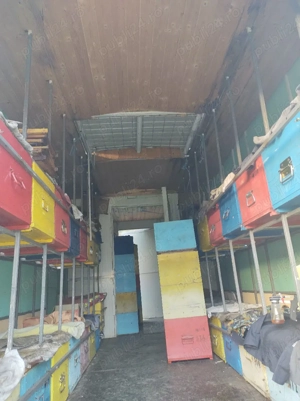 Lichidez stupina!!!Vând remorca 2 axe tandem, sau stupi cu albine - imagine 6