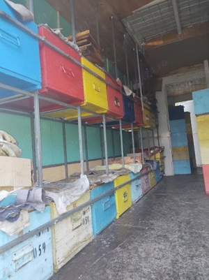 Lichidez stupina!!!Vând remorca 2 axe tandem, sau stupi cu albine - imagine 8