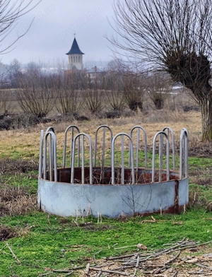 Iesle vaci 12 capete - imagine 3