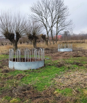 Iesle vaci 12 capete - imagine 2