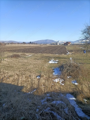 Vând casă la țară!De interesat după ora 16:30.