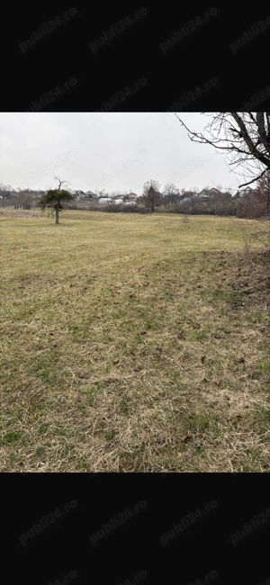 Teren intravilan Somcuta Mare - imagine 4