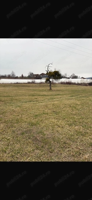 Teren intravilan Somcuta Mare - imagine 2