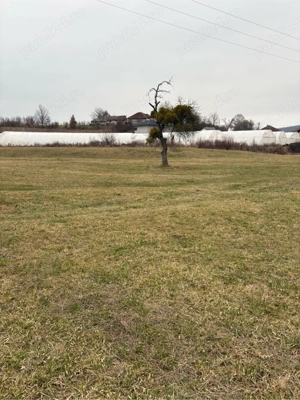 teren Somcuta Mare  - imagine 3