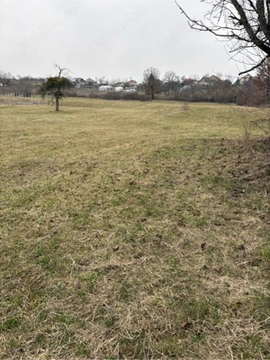 teren Somcuta Mare  - imagine 4