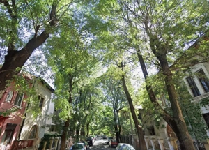 De vrei viață fericită, hai pe-o stradă liniștită! - imagine 6