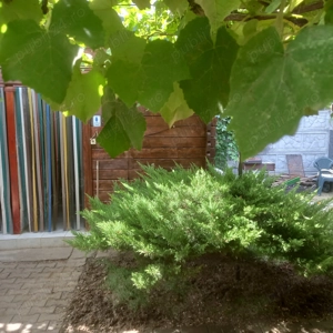 Cazare Costinesti pentru festival Beach Please - imagine 2