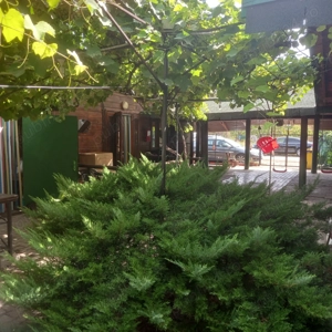 Cazare Costinesti pentru festival Beach Please - imagine 3