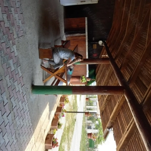 Cazare Costinesti pentru festival Beach Please