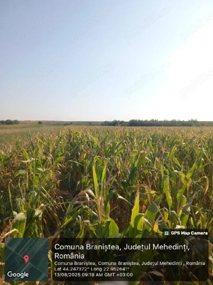 Teren arabil extravilan 8500m2 