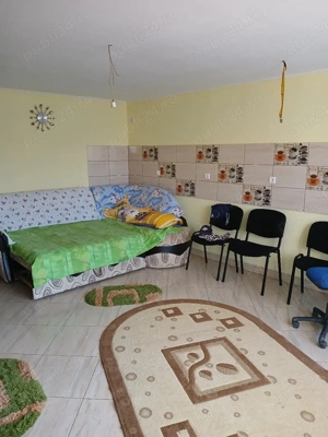 Vand casa în Campu Mare,Gorj - imagine 7