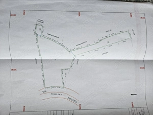 Teren Buhalnița Neamț