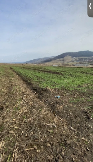 Vând teren intravilan cu suprafața de 2000 m  - imagine 2