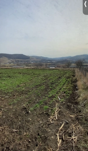 Vând teren intravilan cu suprafața de 2000 m  - imagine 4