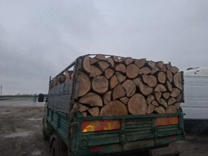 vând lemne de foc esență tare cer,fag,carpen,stejar cantitate garantata  transport gratuit  lemnele 