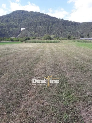 Teren de vanzare Pangarati 58.500 Euro 4488mp Intravilan - imagine 3