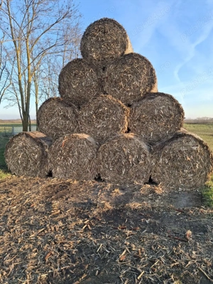 Baloți de tulei tocătură de vânzare 