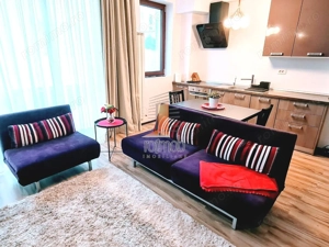 Apartament 2 camere spatios, langa parcul Herastrau - imagine 3