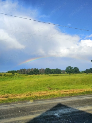 Casă de vânzare Făget (Colonia Mică)  - imagine 6