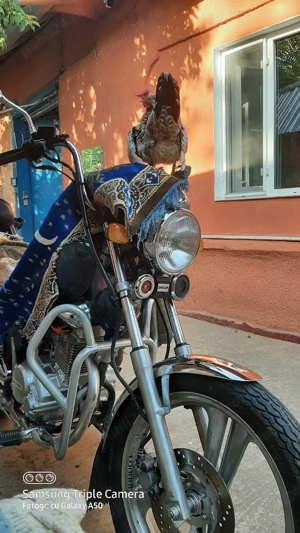 Vand motocicleta Daelim CT 125 - imagine 2