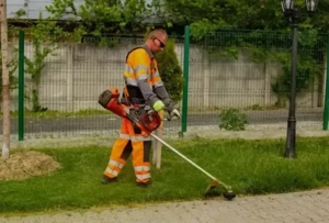 Întreținere spatii verzii.