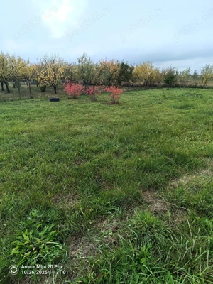 Teren intravilan de vanzare in Chisirid la 16 km de Oradea - imagine 9