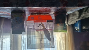 Vand nifa foarte blândă sta și prin casa cu tine - imagine 5