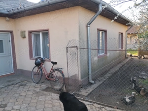 Hincu Marian  - imagine 4