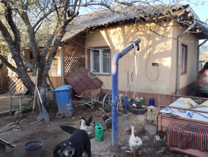 Hincu Marian  - imagine 2