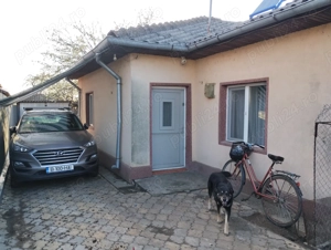 Hincu Marian  - imagine 3