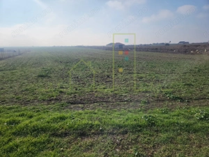 Teren agricol in intravilanul comunei Sacalaz. - imagine 3