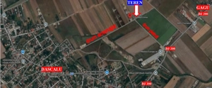 Teren Dascalu, 10.000 mp - imagine 2