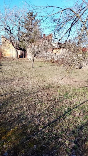 Dau in chirie gradina central Arad - imagine 4