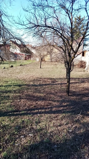 Dau in chirie gradina central Arad - imagine 2